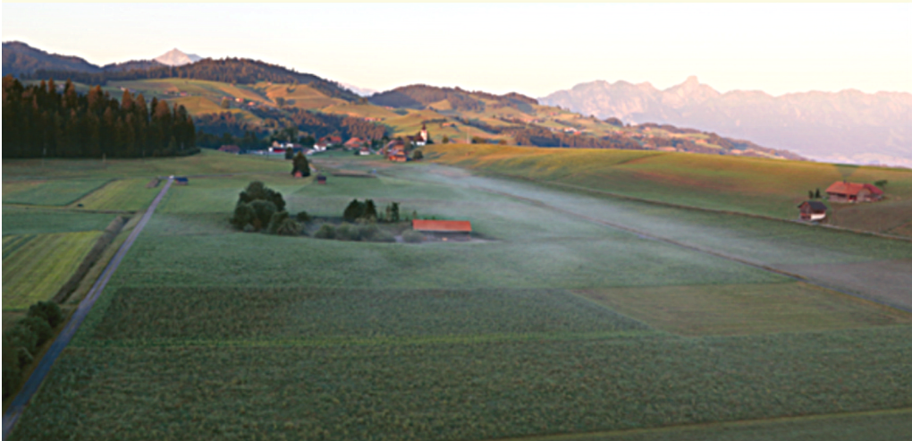 Morgenstimmung 1